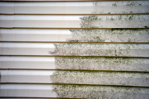 Best Wood Siding Installation  in Waterford, CA